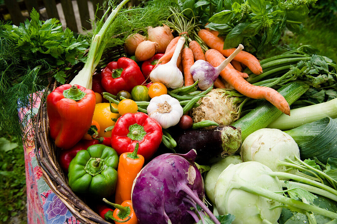 Korb mit frischem Gemüse, Ernte, Garten