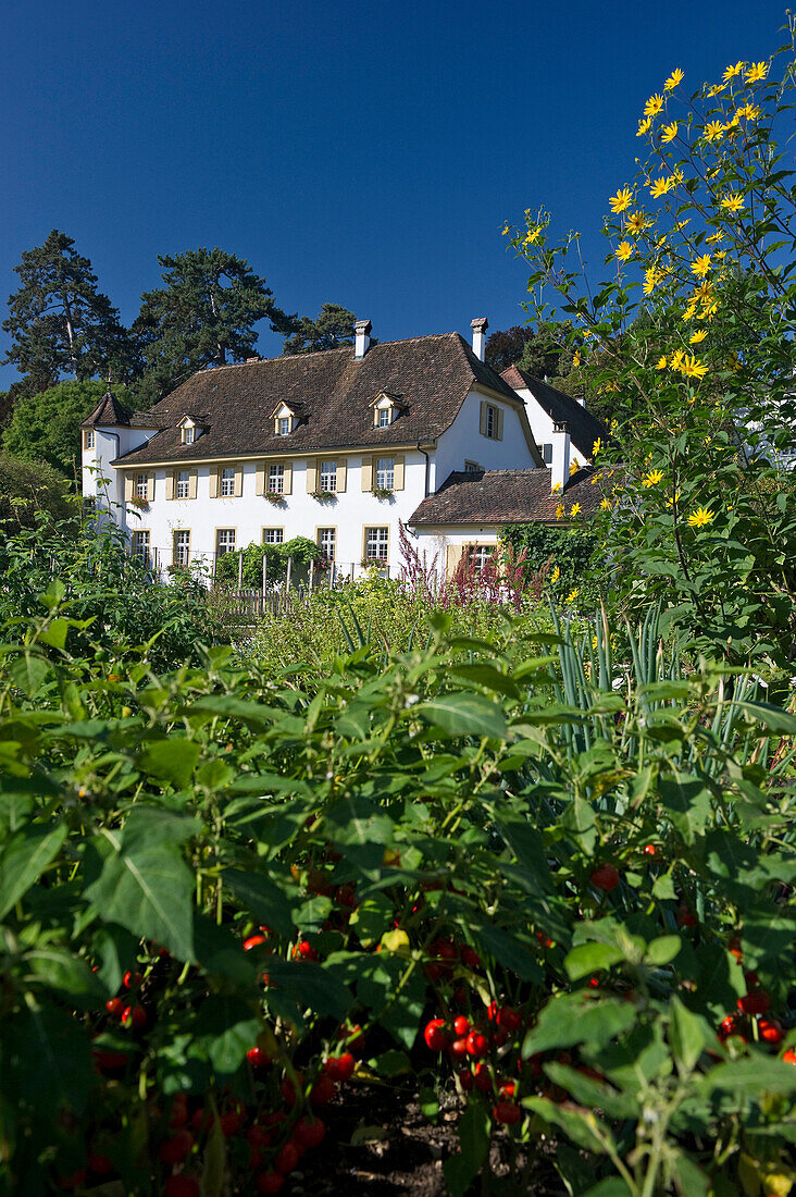 Houses at Merian Park, Brueglingen, Basel, Switzerland, Europe