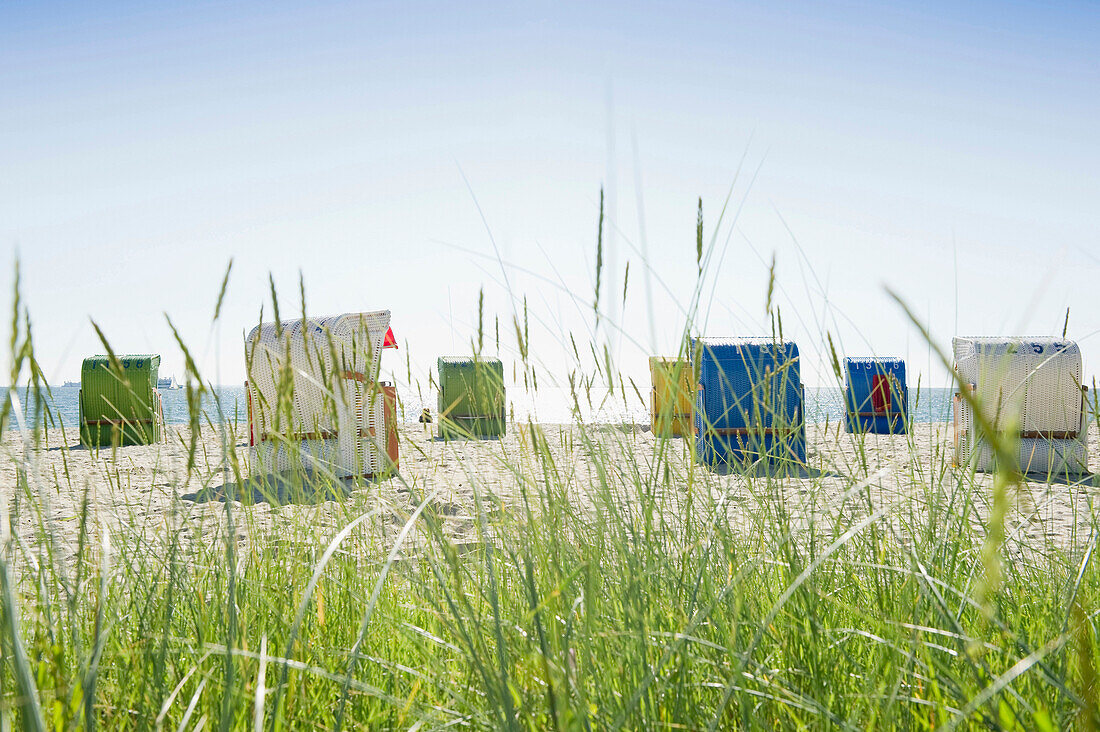 Strandhafer und bunte Strandkörbe am Strand, Wyk, Föhr, Nordfriesland, Schleswig-Holstein, Deutschland, Europa