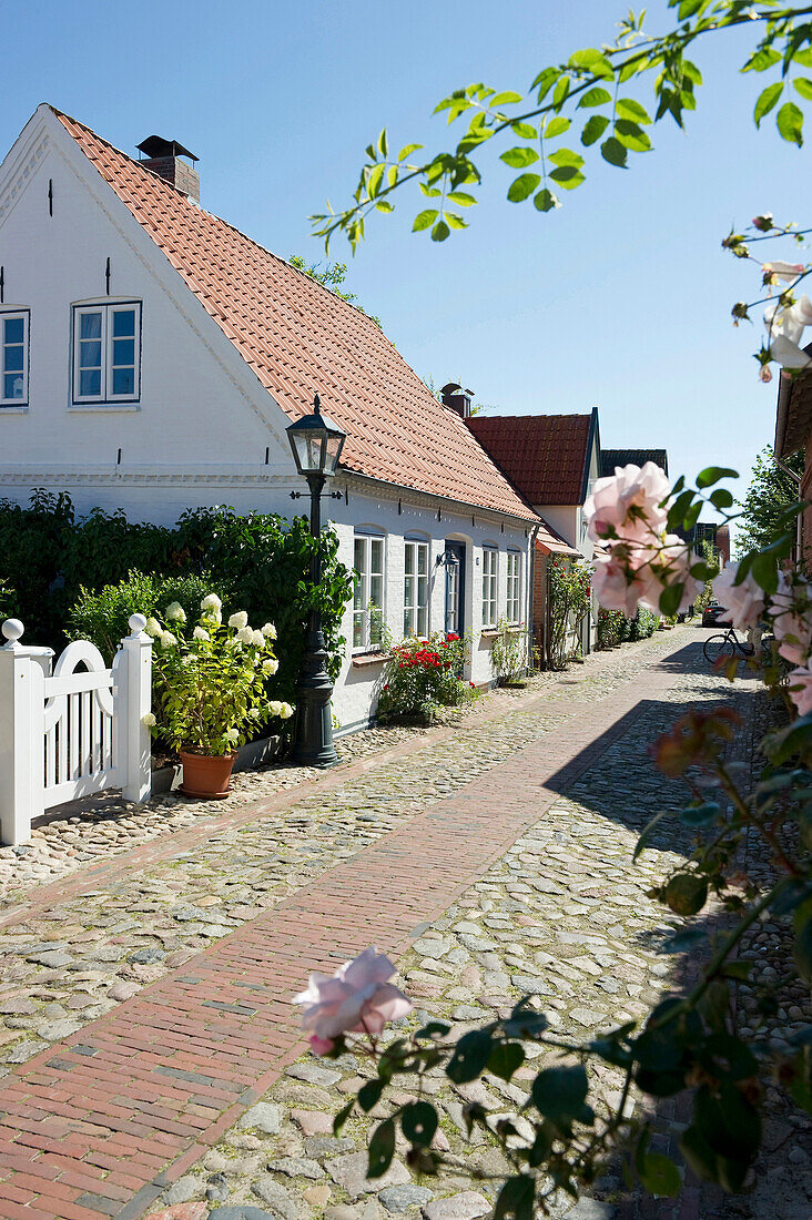 Captain's houses, Wyk, Foehr, North Frisian Islands, Schleswig-Holstein, Germany, Europe