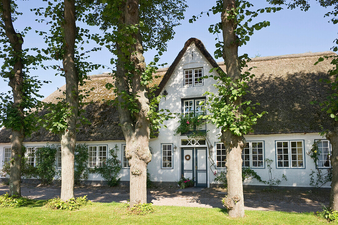 Haus mit Reetdach, Nieblum, Föhr, Nordfriesland, Schleswig-Holstein, Deutschland, Europa