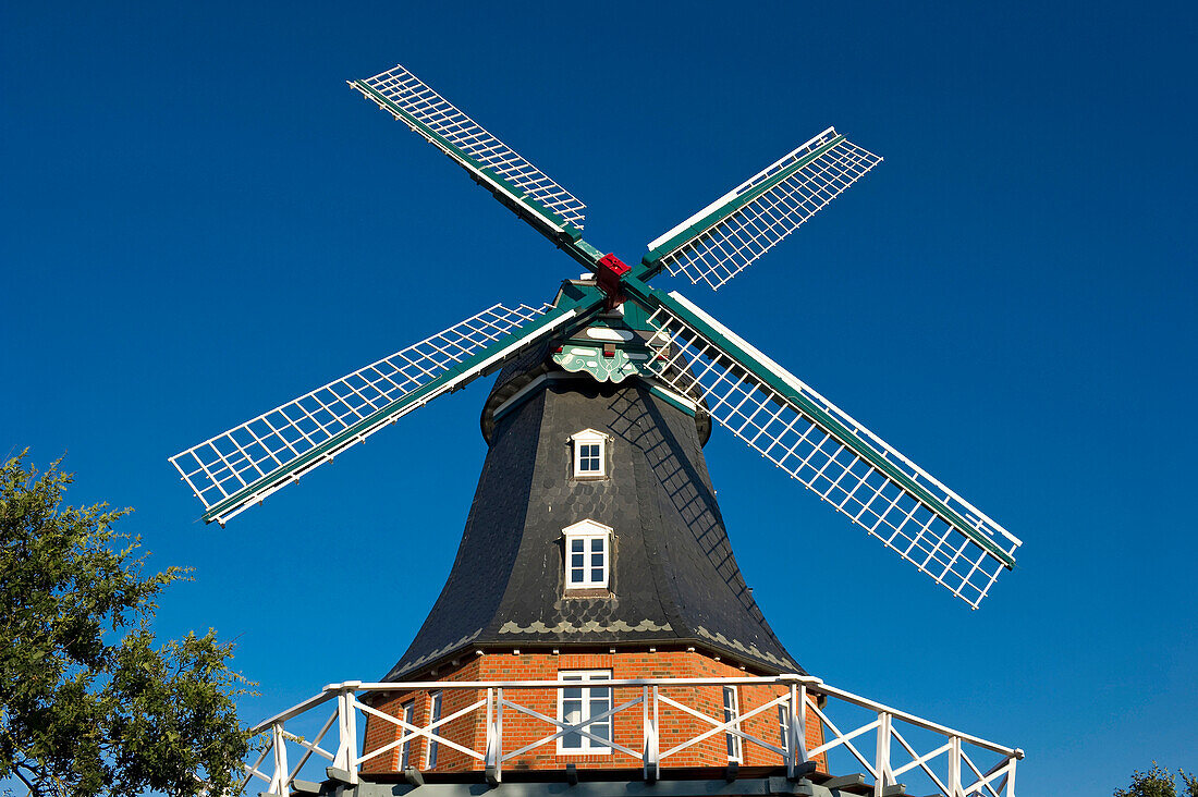 Windmühle unter blauem Himmel, Borgsum, Föhr, Nordfriesland, Schleswig-Holstein, Deutschland, Europa