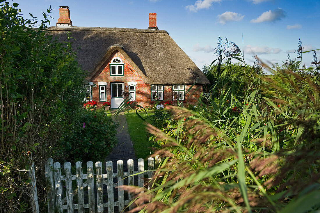 Traditional thatched house with garden, Westerhever, Wadden Sea National Park, Eiderstedt peninsula, North Frisian Islands, Schleswig-Holstein, Germany, Europe