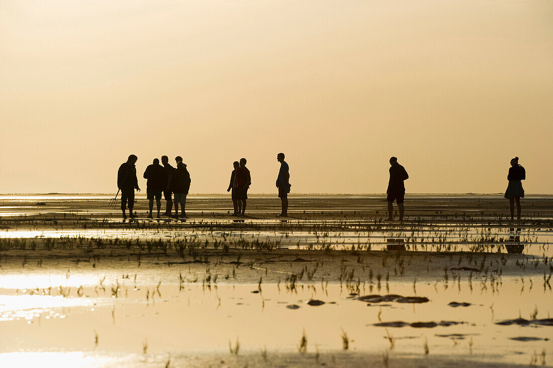 People during a mudflat hiking tour, Sankt Peter-Ording, Wadden Sea National Park, Eiderstedt peninsula, North Frisian Islands, Schleswig-Holstein, Germany, Europe
