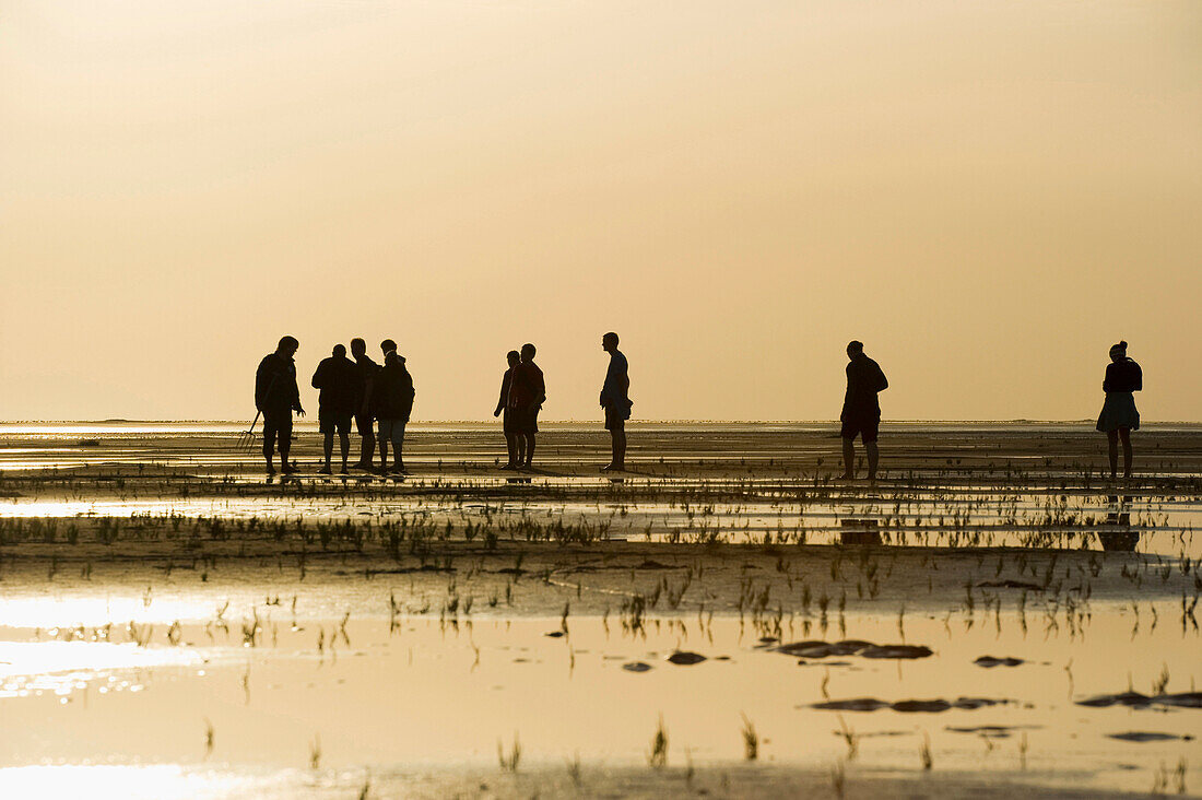 Wattwanderer am Strand von St Peter-Ording, Halbinsel Eiderstedt, Nationalpark Schleswig-Holsteinisches Wattenmeer, Nordfriesland, Schleswig-Holstein, Deutschland, Europa