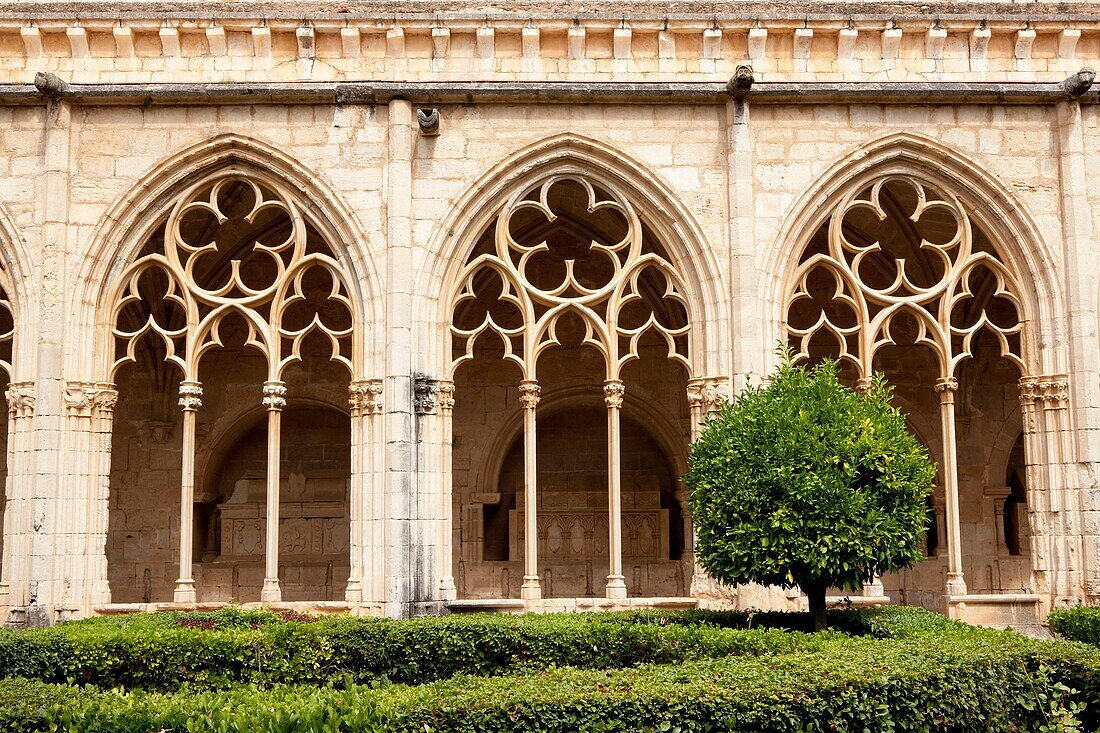 Monastery of Santes Creus - Reial Monasteri de Santes Creus -, Ruta del Cister, Santes Creus, Alt Camp, Tarragona, Spain