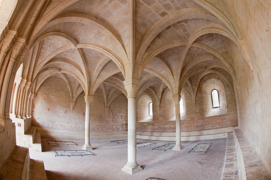 Sala Capitular - Chapter house -, Monastery of Santes Creus - Reial Monasteri de Santes Creus -, Ruta del Cister, Santes Creus, Alt Camp, Tarragona, Spain