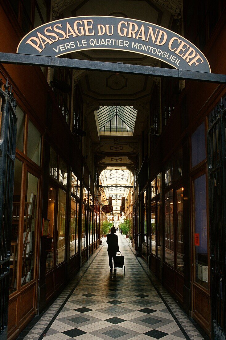 Paris  France  Passage du Grand Cerf, Quartier Montorgueil, 2nd Arrondissement