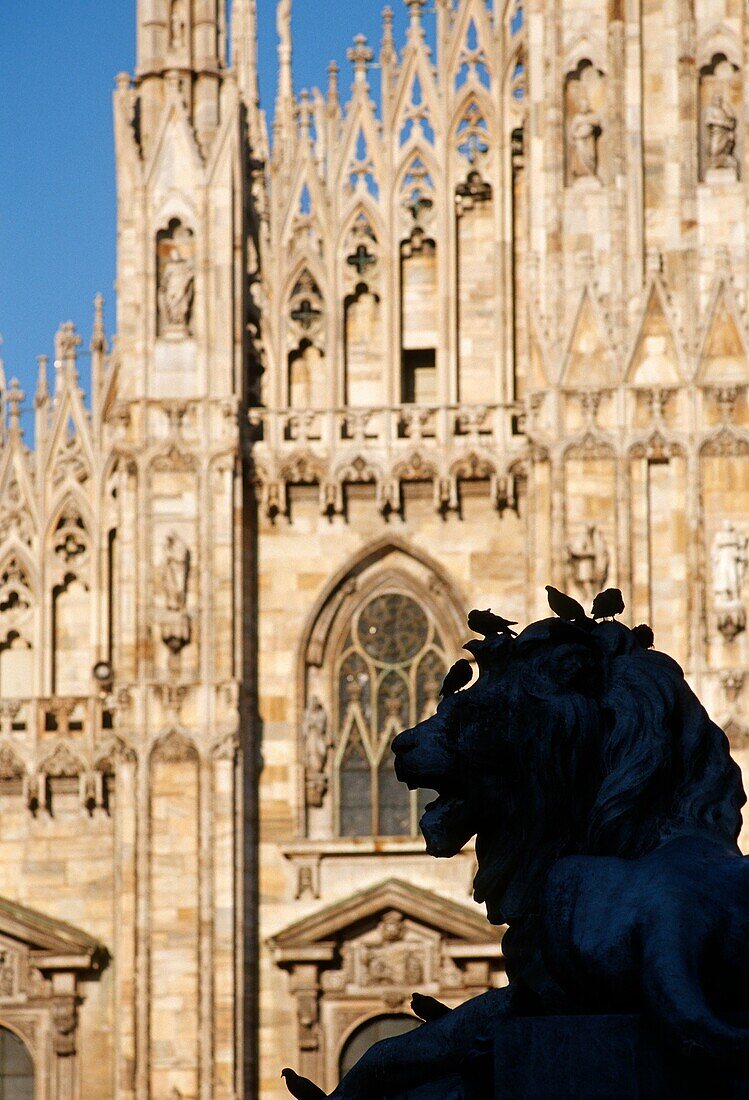 Milan  Italy  The Duomo  A monumental lion on the piazza silhouetted against the intricate facade of the Duomo