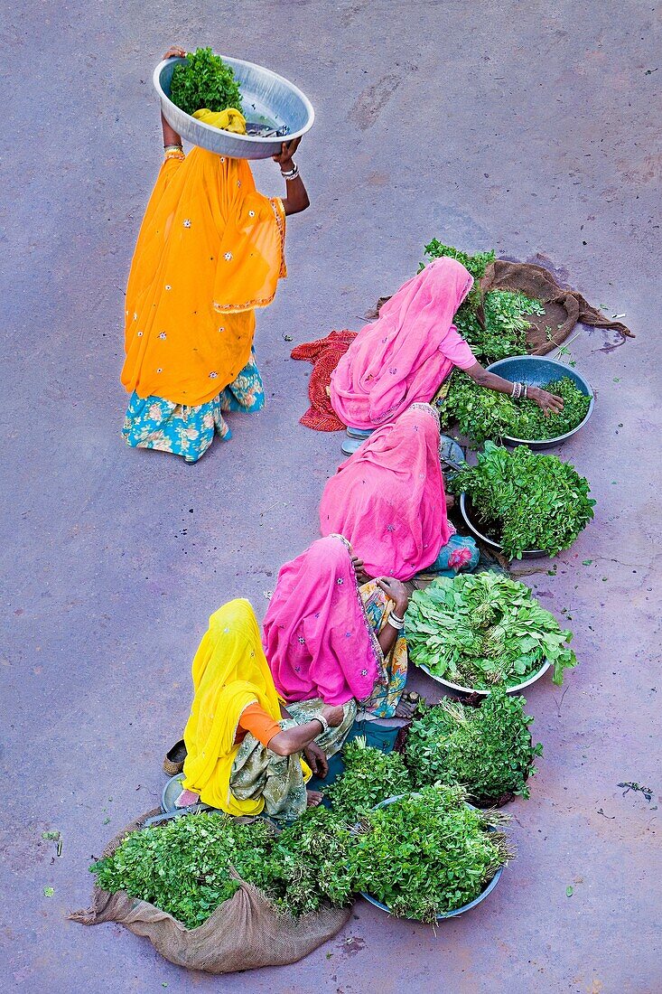 Laxmi market,pushkar, Rajasthan, india