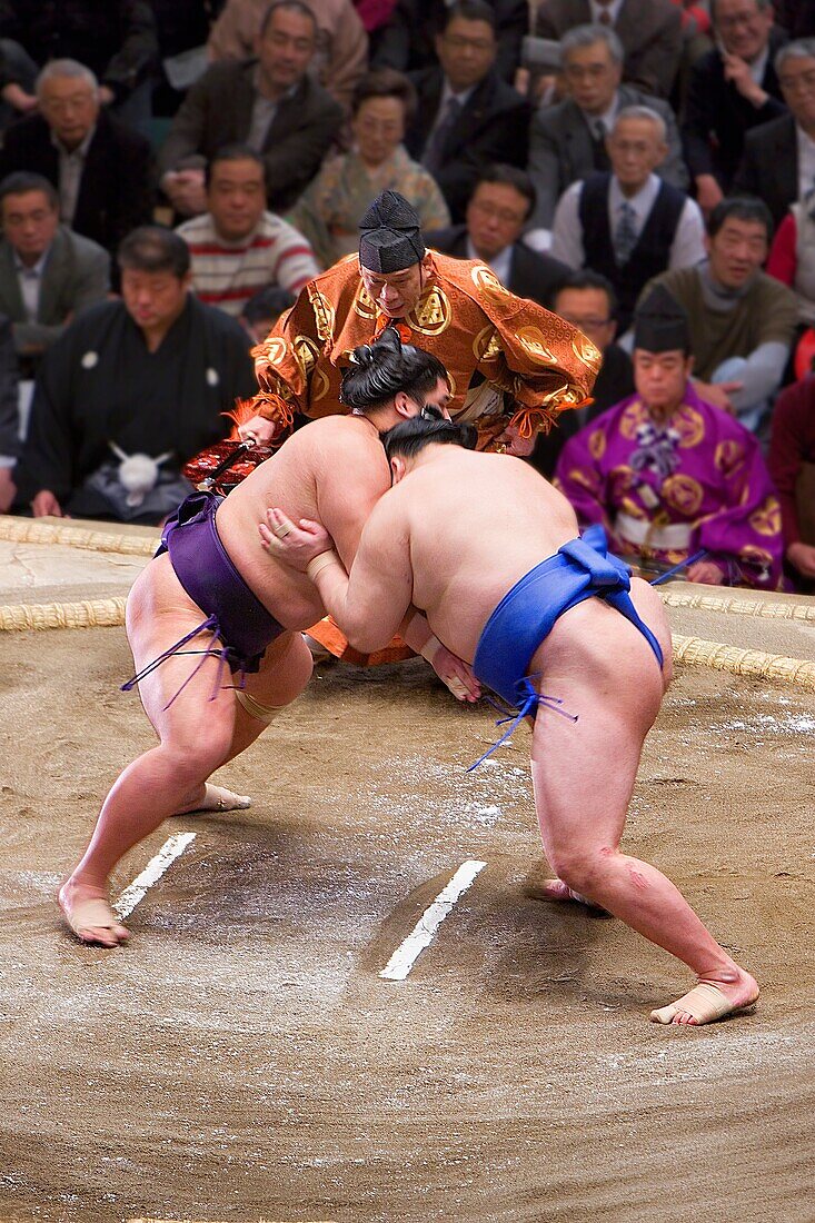 Sumo tournament in Ryogoku kokugikan stadium,Tokyo city, Japan