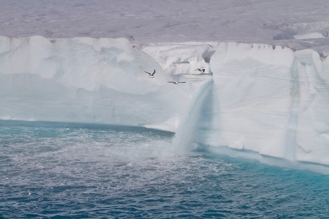 Views of Austfonna, an ice cap located on Nordaustlandet it is the largest ice cap by area and with 1, 900 km3 the second largest by volume in Europe in the Svalbard archipelago in Norway