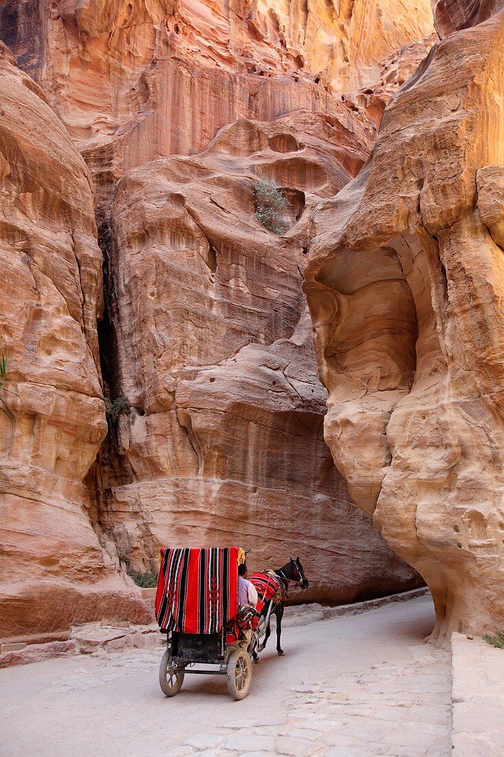 Horse Carriage passing in the narrow Siq, Petra, Jordan