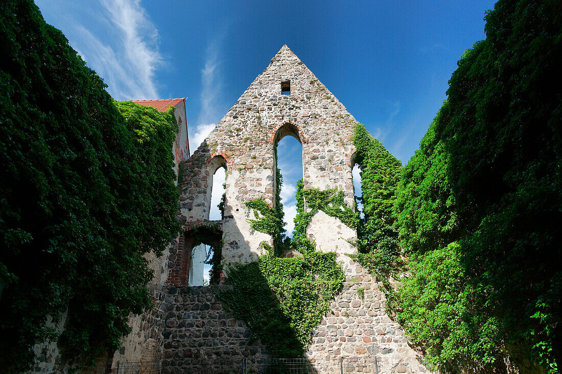 Ruins of Zehdenick monastery, Zehdenick, Land Brandenburg, Germany, Europe