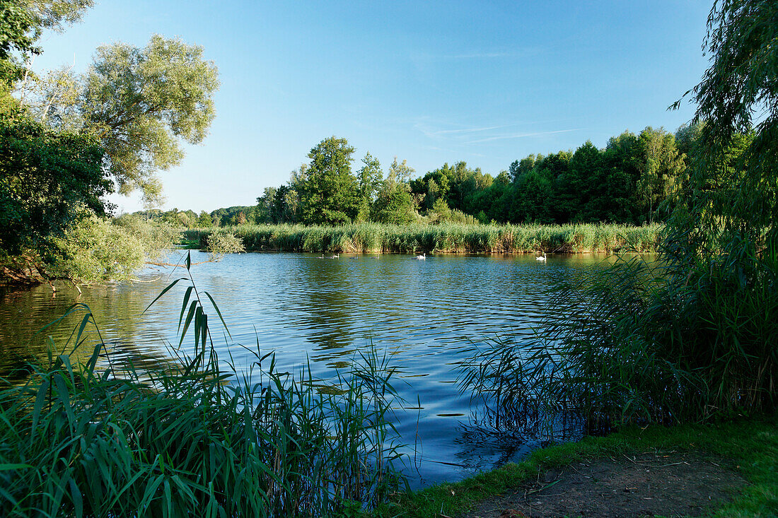 Spree river in idyllic landscape, Beeskow, Land Brandenburg, Germany, Europe
