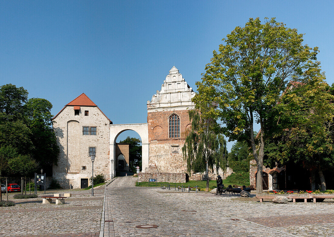 Schloßdomäne, Schloßkapelle und Museum im Sonnenlicht, Wolmirstedt, Sachsen-Anhalt, Deutschland, Europa