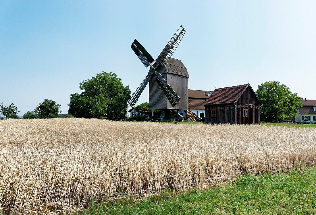 Windmühle an einem Feld, Wolmirstedt, Sachsen-Anhalt, Deutschland, Europa