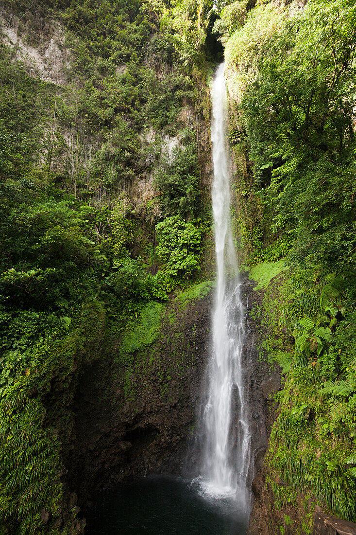 Waterfall Middleham Falls, Morne Trois Pitons National Park, Dominica, Leeward Antilles, Lesser Antilles, Antilles, Carribean, West Indies, Central America, North America