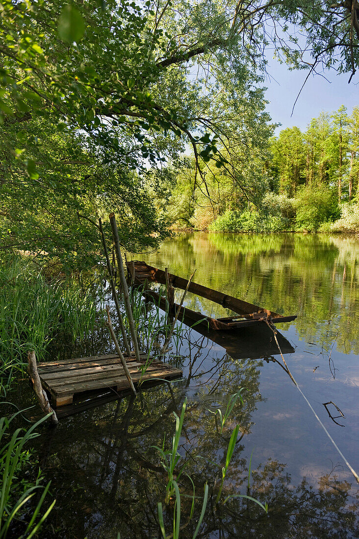 Old boat in a pond, Taubergießen near Rust, Ortenau, Baden-Wuerttemberg, Germany, Europe