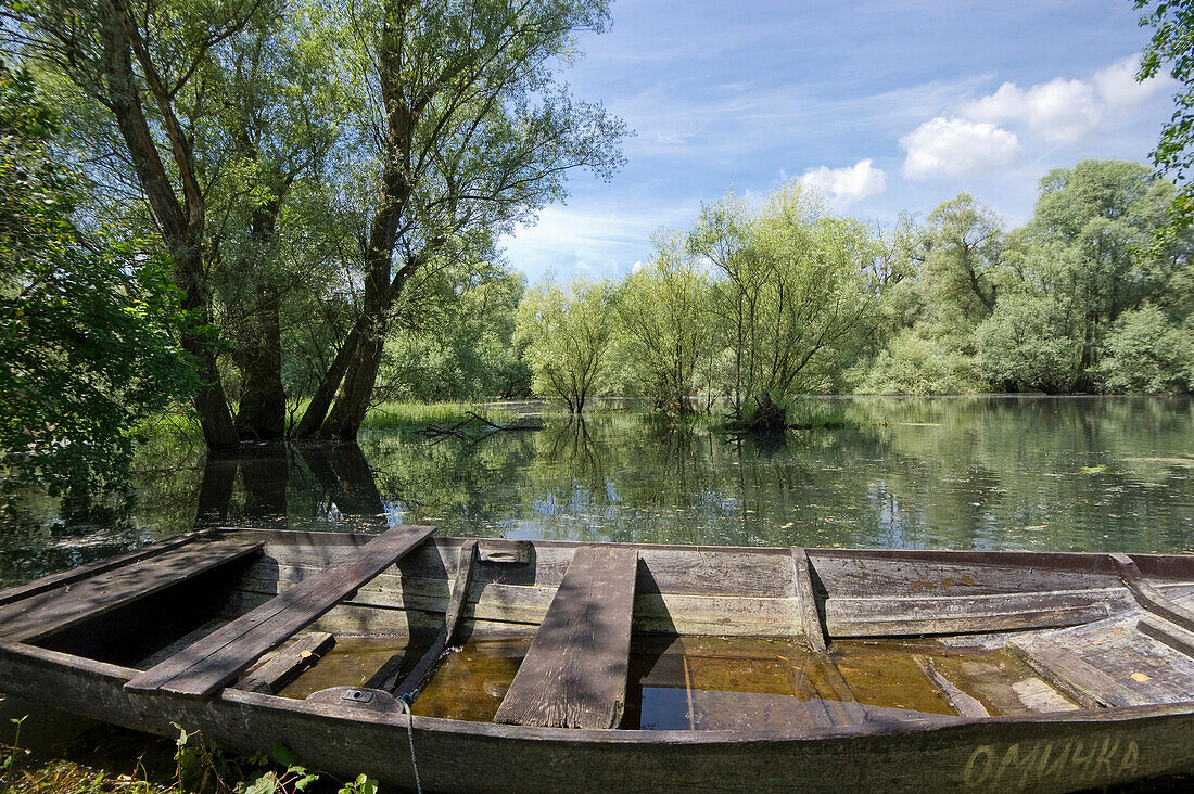 Old boat in a pond, Taubergießen near Rust, Ortenau, Baden-Wuerttemberg, Germany, Europe