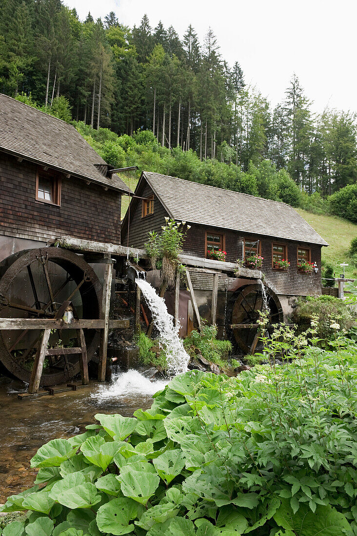 Blick auf die Hexenlochmühle, Neukirch, Schwarzwald, Baden-Württemberg, Deutschland, Europa