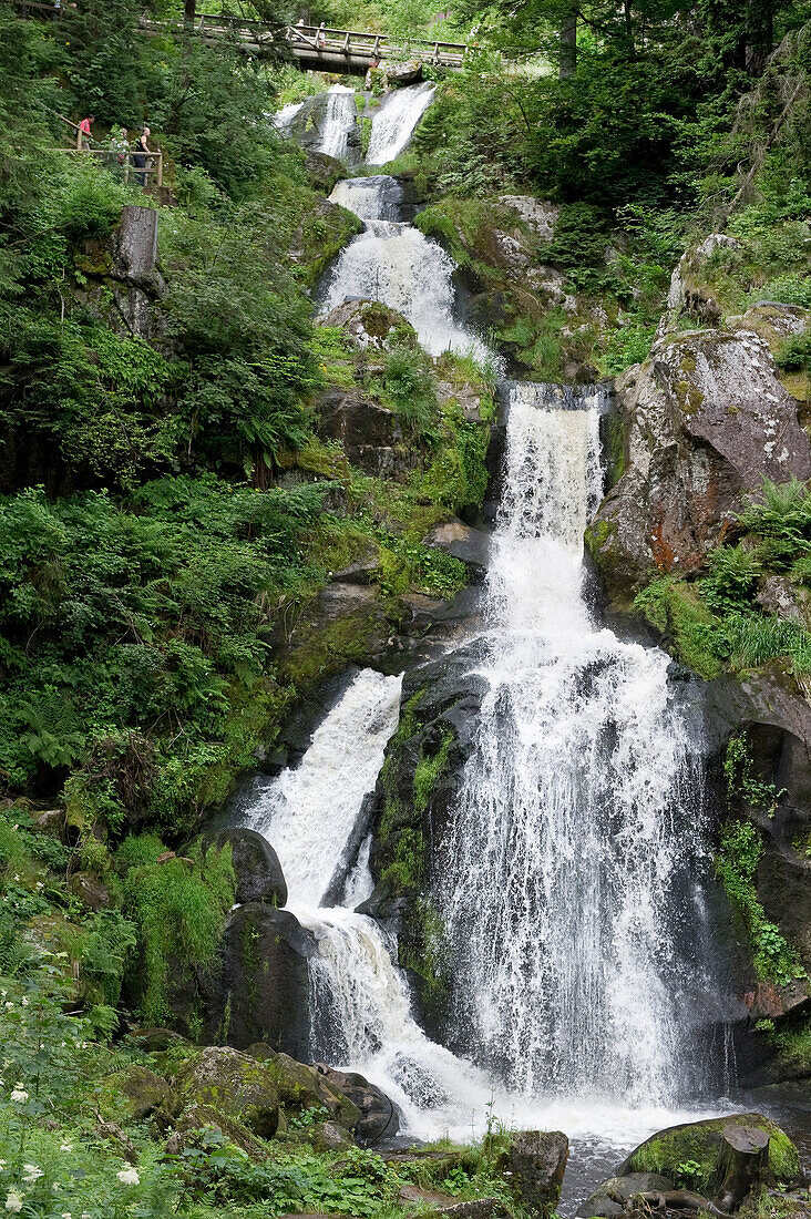 View of Triberg Falls, Triberg, Black Forest, Baden-Wuerttemberg, Germany, Europe