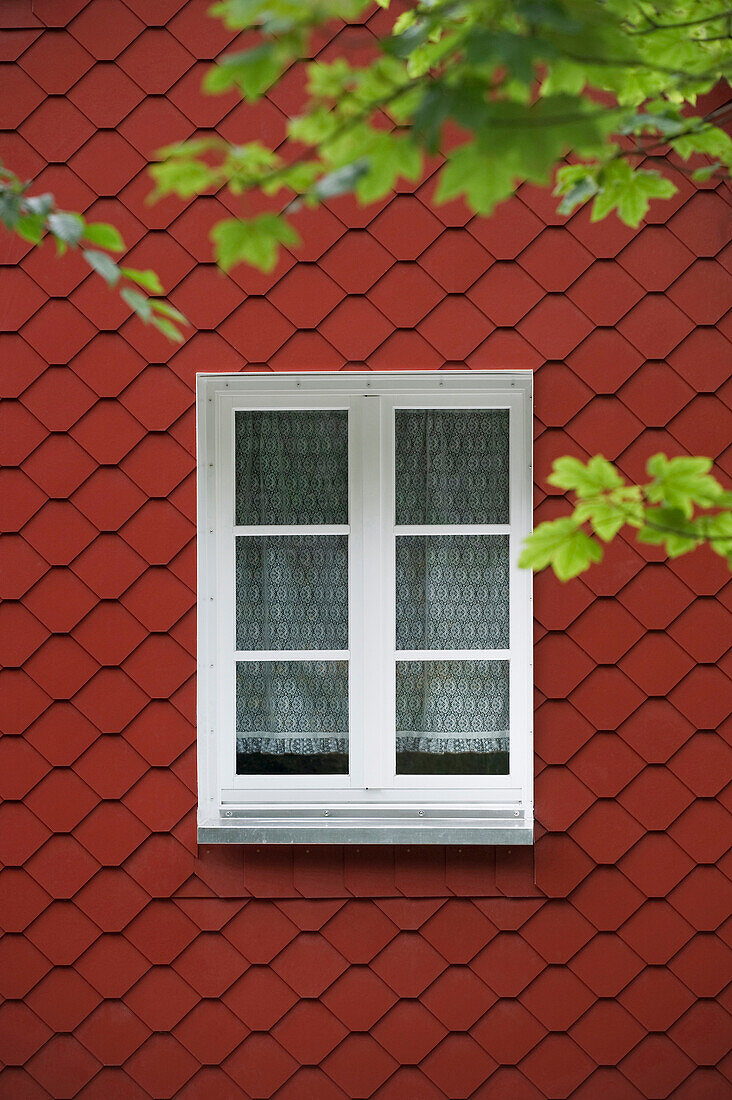 Rote Holzschindeln und Fenster, Titisee, Schwarzwald, Baden-Württemberg, Deutschland, Europa