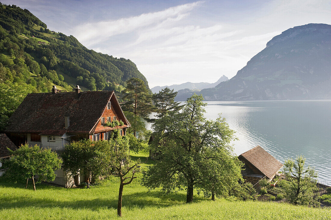 Bauernhaus am Ufer des Vierwaldstättersee, Bauen, Kanton Uri, Schweiz, Europa