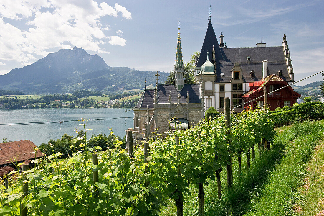 Meggenhorn castle with Mount Pilatus in the background, Lake Lucerne, canton Lucerne, Switzerland, Europe