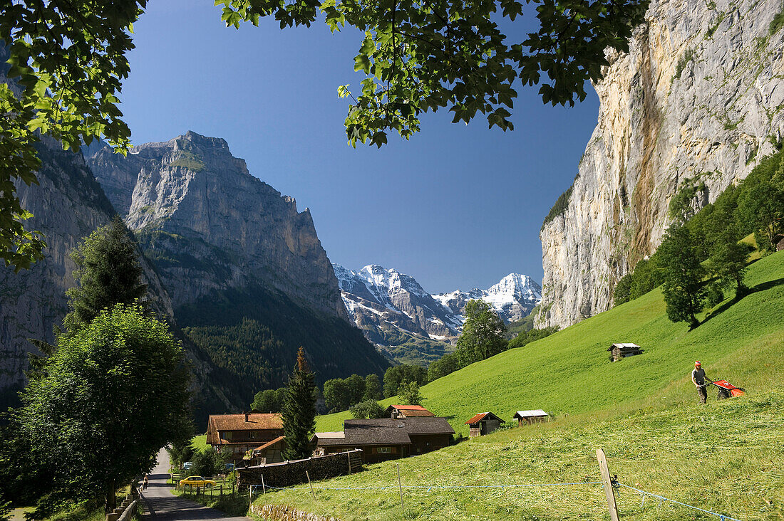 Sunlit meadow at Lauterbrunnen Valley, canton of Bern, Switzerland, Europe