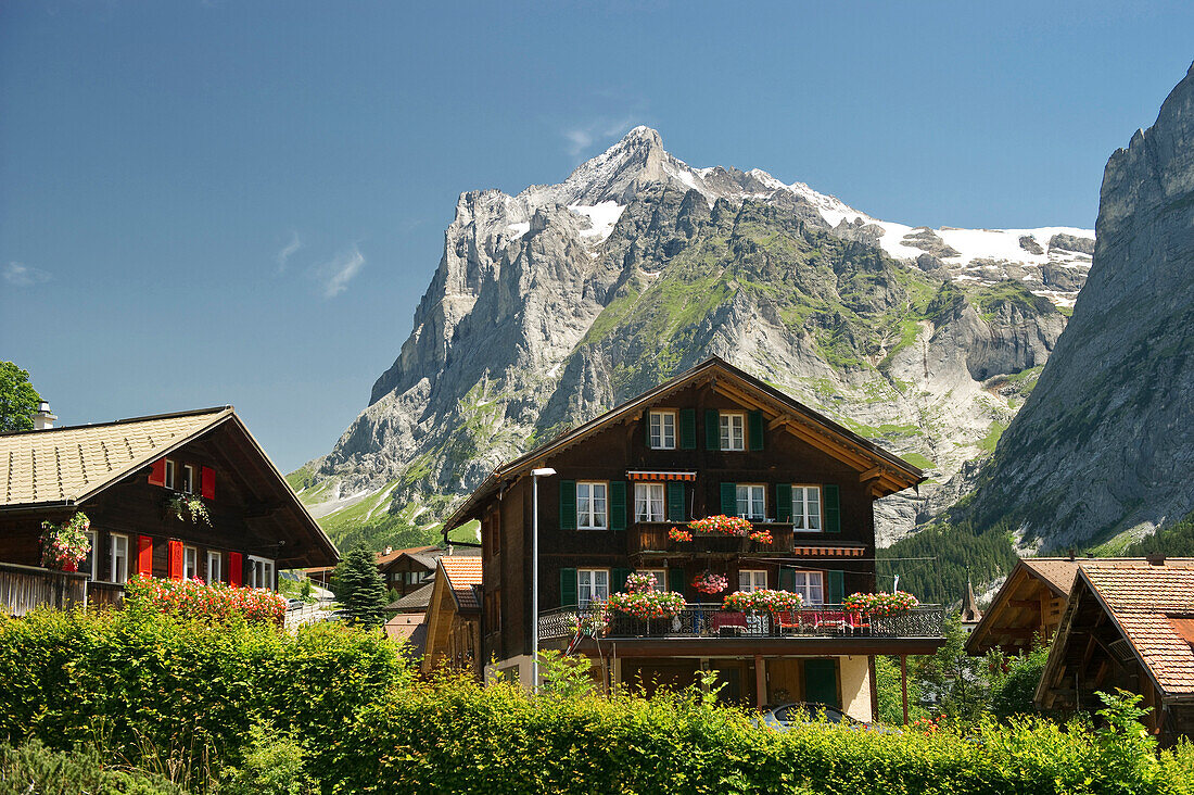 Häuser der Gemeinde Grindelwald und Wetterhorn, Kanton Bern, Schweiz, Europa
