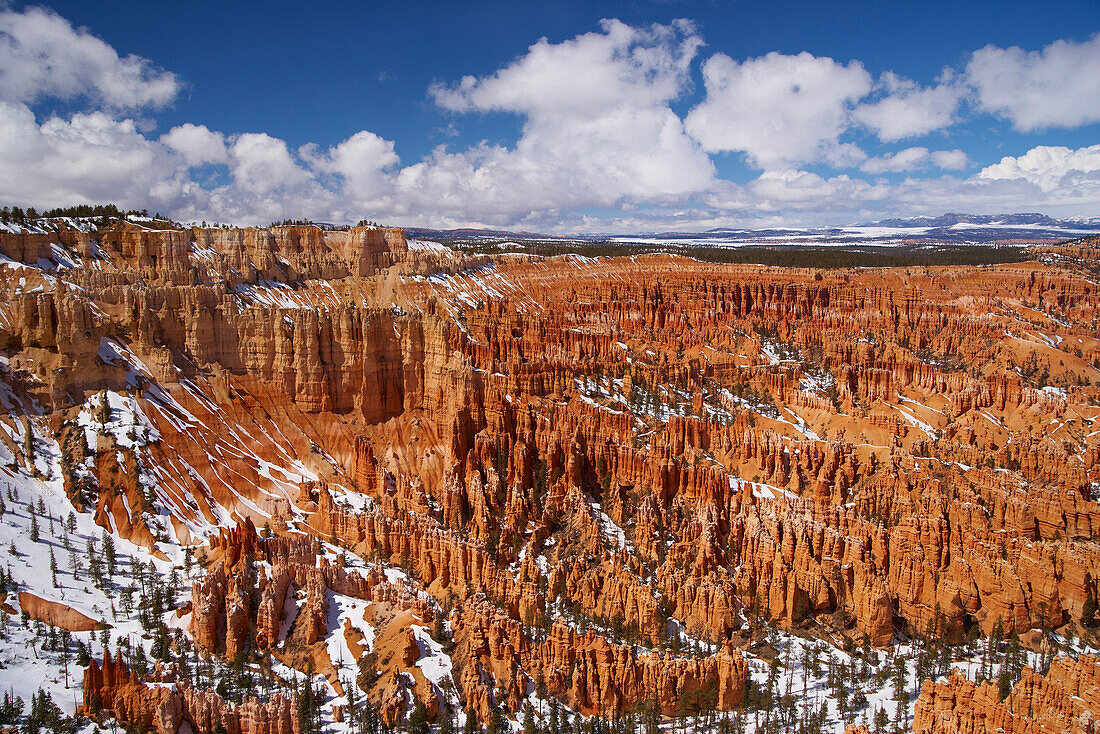 View from Bryce Point into Bryce Amphitheater, Bryce Canyon National Park, Utah, USA, America