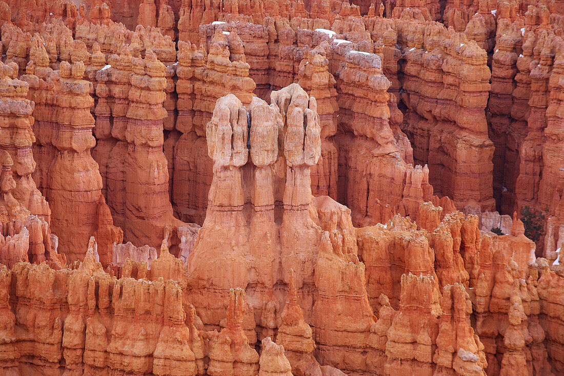Blick vom Inspiration Point in das Bryce Amphitheater, Bryce Canyon National Park, Utah, USA, Amerika