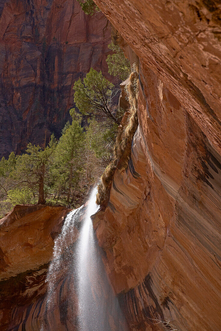 Wasserfall am Lower Emerald Pool, Zion National Park, Utah, USA, Amerika