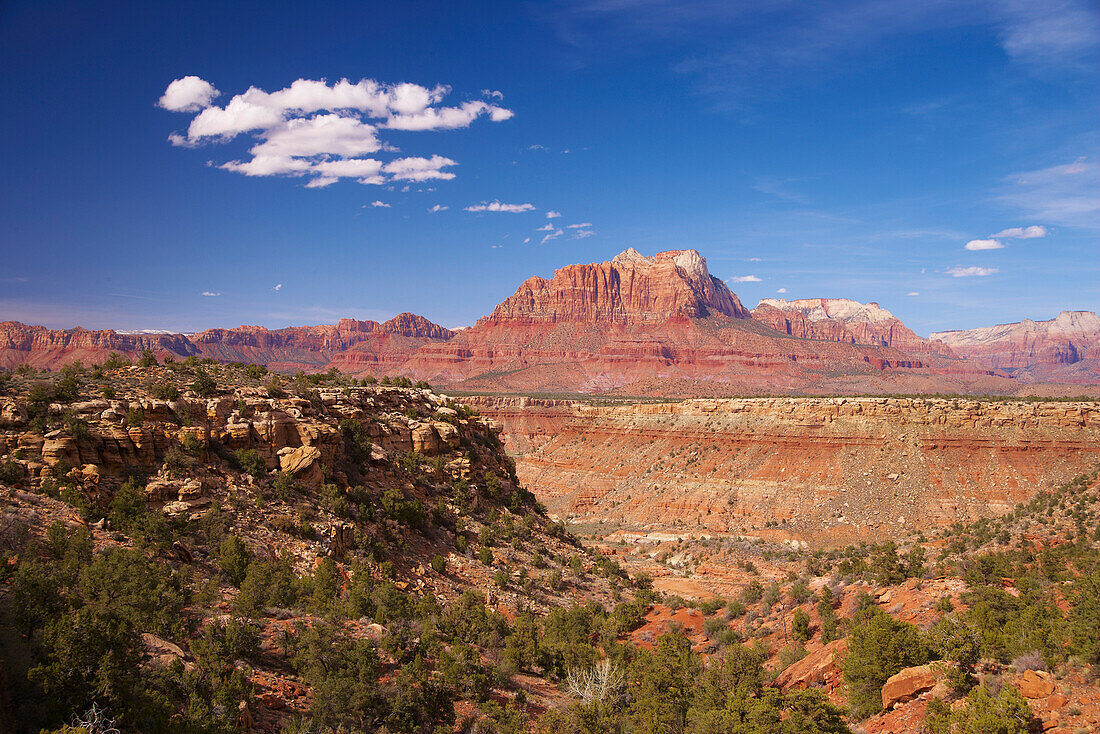 Blick vom Smithsonian Butte Scenic Byway auf den Zion National Park, Utah, USA, Amerika