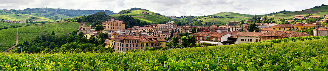 View of the Barolo village and vineyards, Barolo valley, Panorama, Province Piedmont, Italy