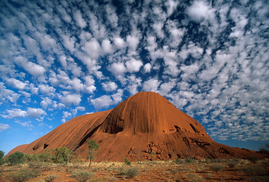 Ayers Rock unter weissen Wolken, Uluru Kata Tjuta Nationalpark, Northern Territory, Australien