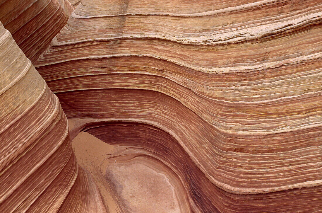 Slickrock sandstone patterns, Paria Vermilion Cliffs Wilderness, Arizona, USA, America