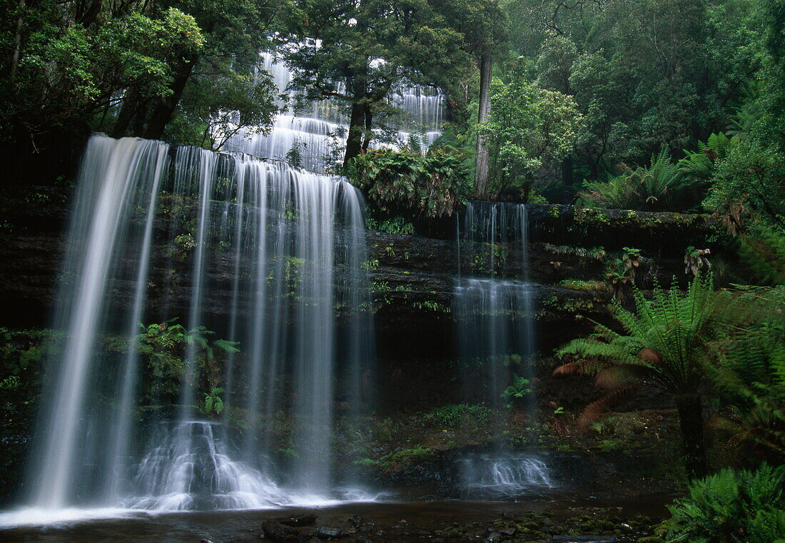 Russell Wasserfall in gemässigtem Regenwald, Mount Field Nationalpark, Tasmanien, Australien