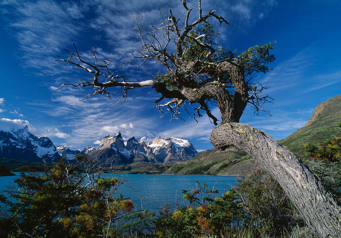 Lake and snow covered mountains at Torres del Paine National Park, Chile, South America