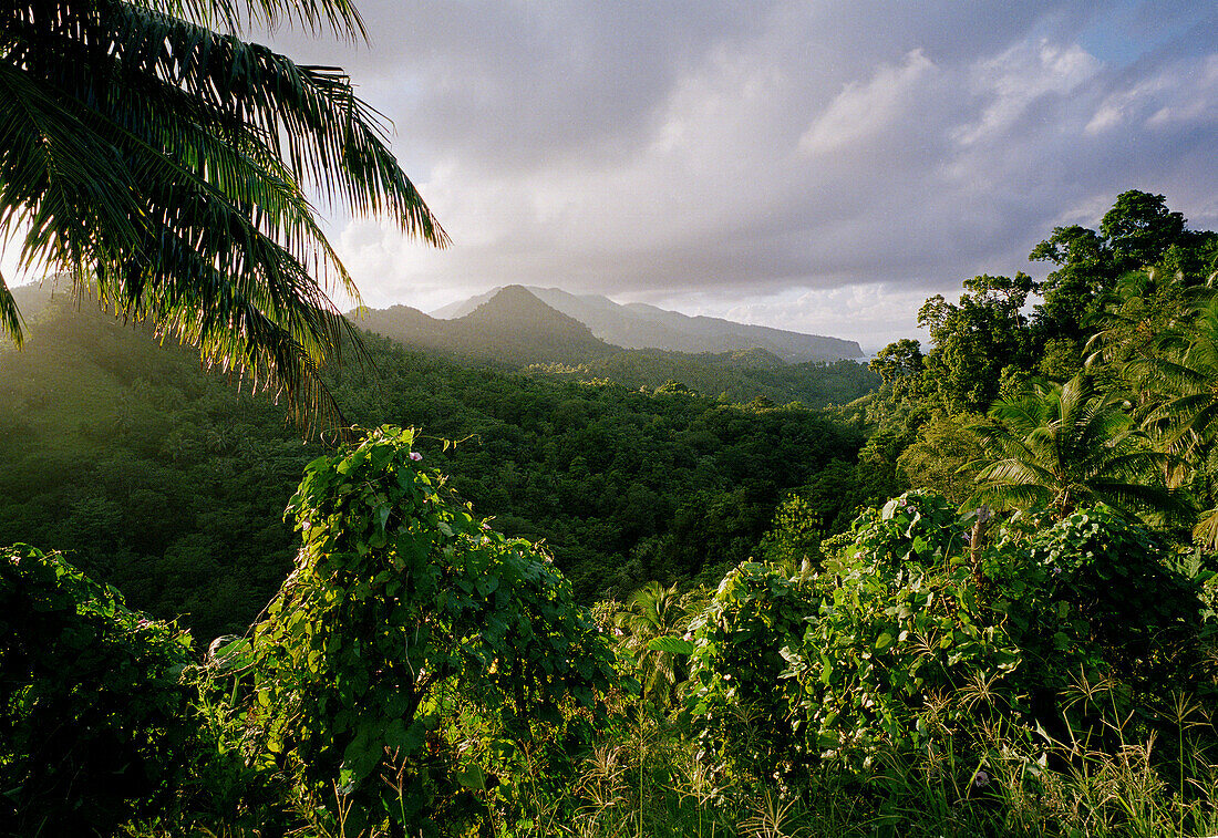 Regenwald und Hügel unter Wolkenhimmel, Dominica, Kleine Antillen, Karibik, Amerika