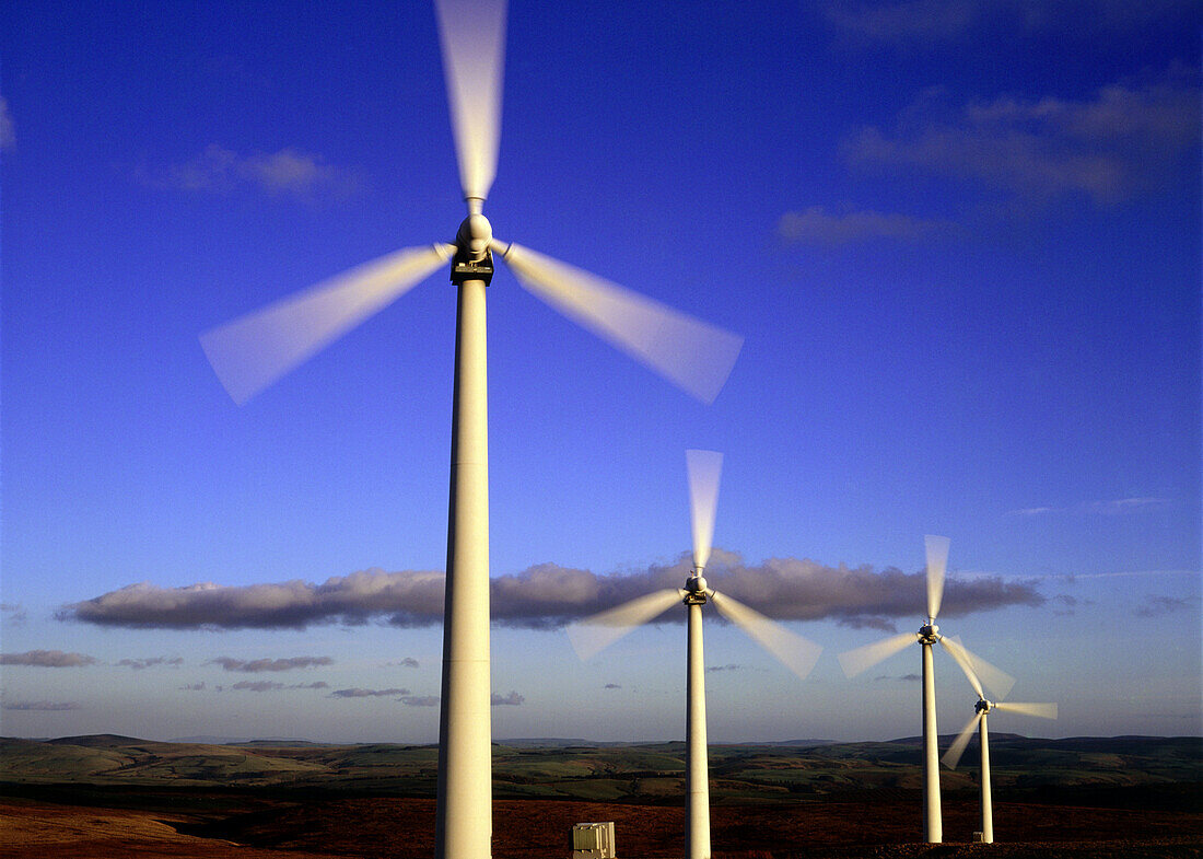 Windräder im Abendlicht, Llandinam, Powys, Wales, Grossbritannien, Europa