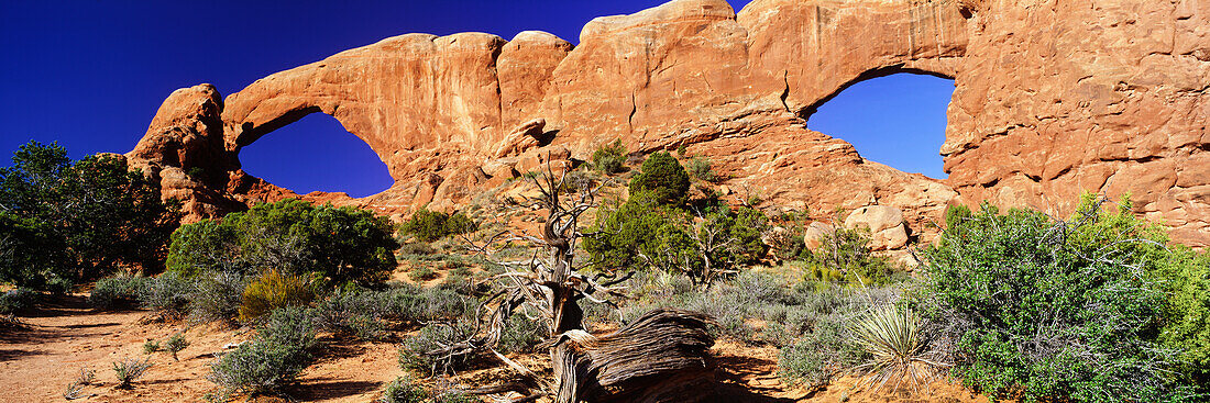 North and South windows under blue sky, Arches National Park, Utah, USA, America