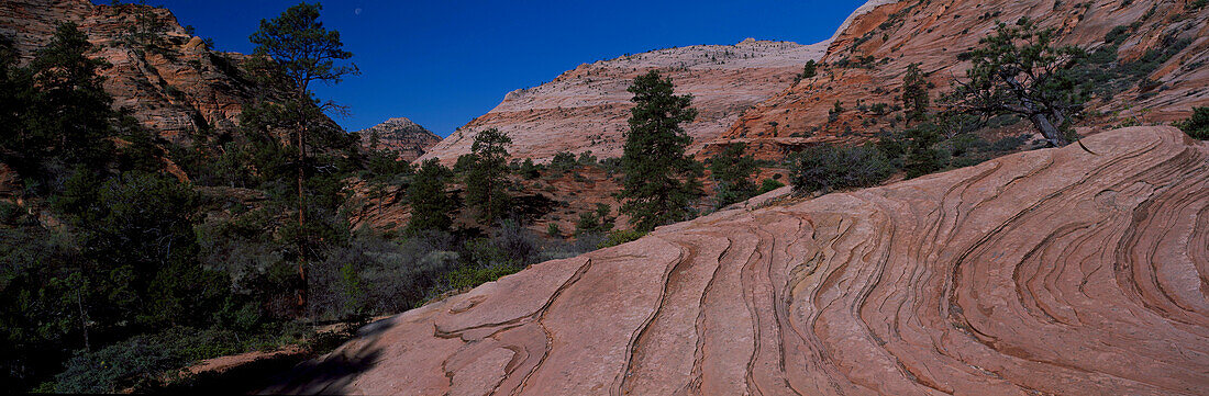 Blick entlang der Mount Carmel Road unter blauem Himmel, Zion Nationalpark, Utah, USA, Amerika