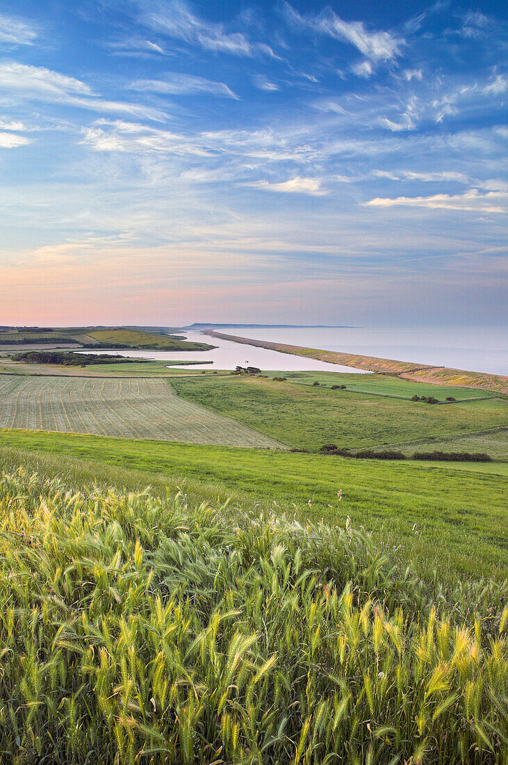 THE FLEET & CHESIL BEACH with views to the Isle of Portland, Jurassic Coast, UNESCO World Heritage Site, Abbotsbury, Dorset, England