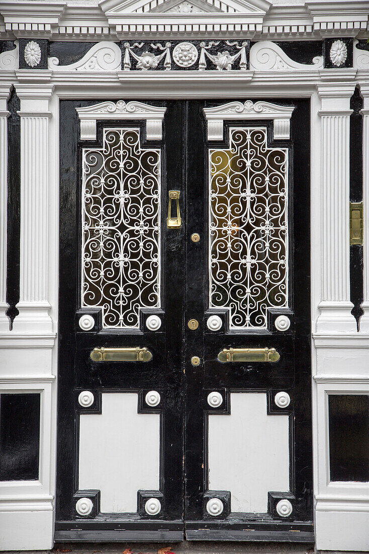 Dunkel braune Tür und Gitter mit weißem Ornament, Kings Door, Dublin, County Dublin, Irland, Europa