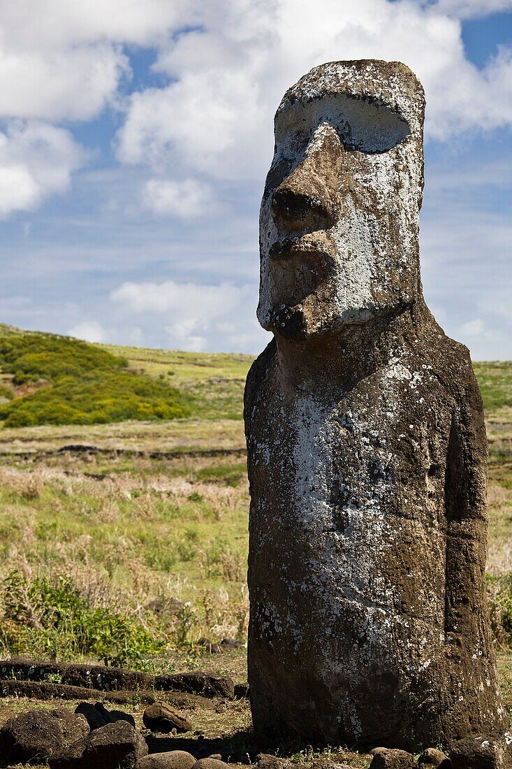 Moai at the entrance of Ahu Tongariki