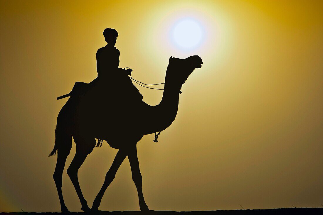 Silhouette of man and camel sunrise Thar Desert near Khuri Rajasthan India