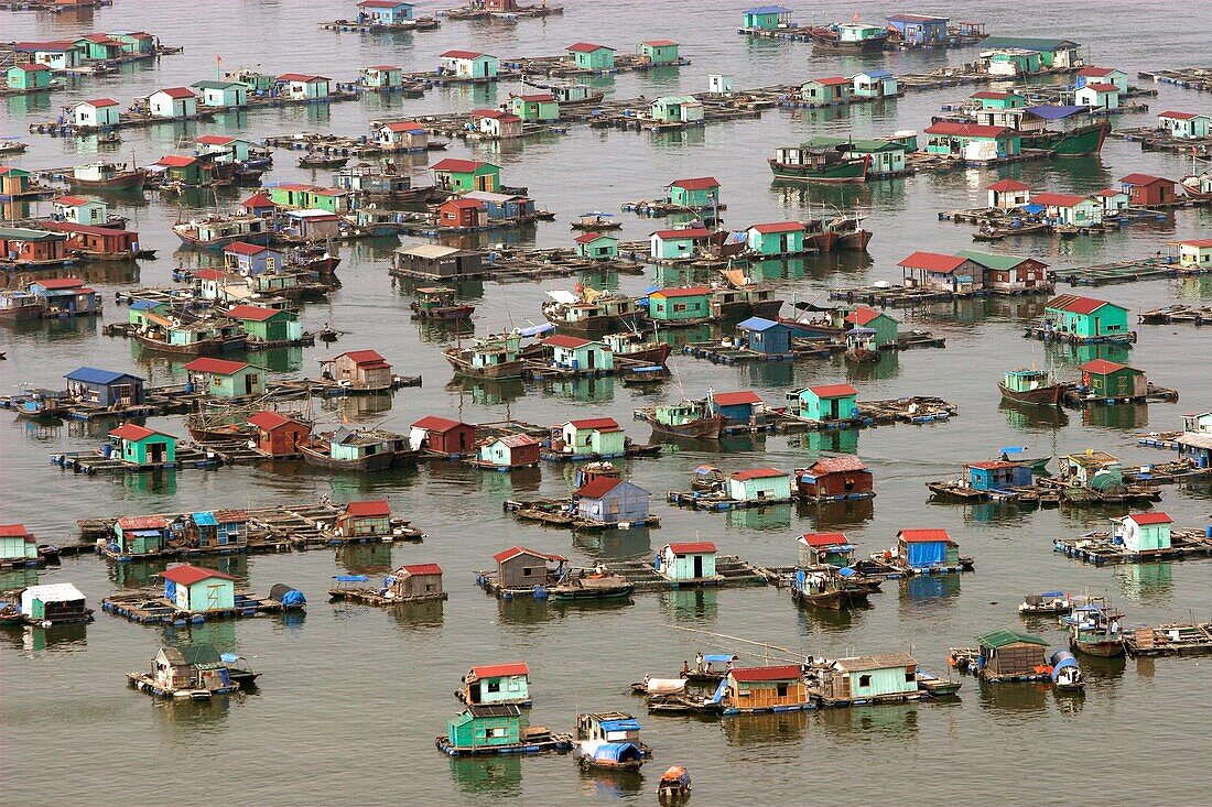 Floating fishing village Cat Ba Town bay north east Vietnam