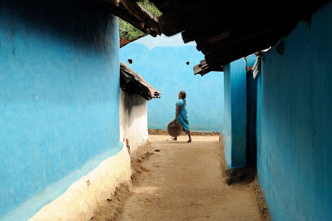 Asia,India ,Orissa,near Rayagada,woman walking in a street of the village with blue wall